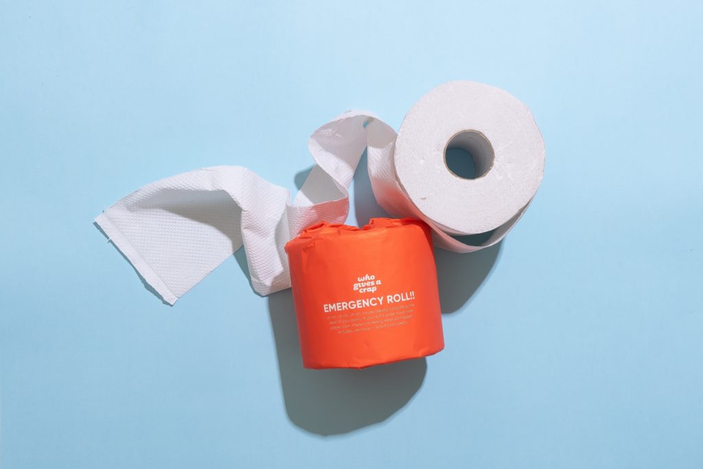 The environmental impact of bidets versus toilet paper